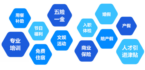 提供全面、系統(tǒng)、專業(yè)的培訓和廣闊的<br>職業(yè)發(fā)展空間和提升機會